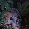 paintings 