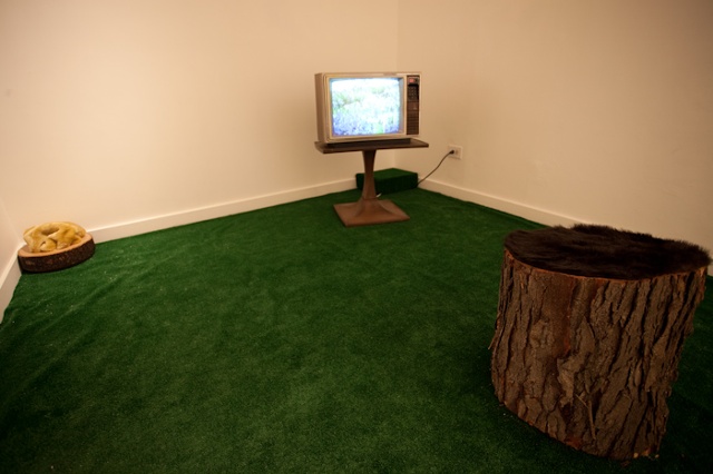 Install Shot