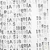 Mental Scape (Siberia 2) - detail