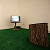 Install Shot