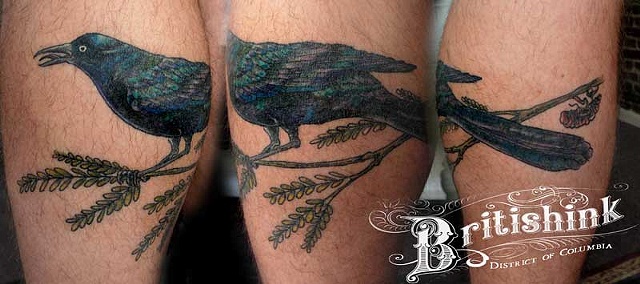 Grackle Tattoo