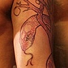Adam and Eve sleeve Stage 1