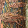 Stage 3