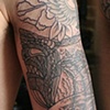 Stage 1