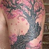 Cherry Tree