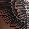 Rib Wing