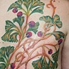 Ginkgo Back Piece 