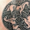 Celtic Horse Rework.
A very old and faded tattoo can be brought back to life.