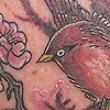 Sparrow and Cherry Blossom 