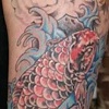 Koi Sleeve
