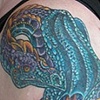 Kendras Dragon