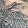 Red Capped Crane