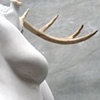 Horned