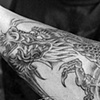 Dragon skull Sleeve