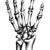 Hand