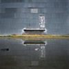 A Flooded Reflection