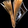 Inlay