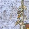 Illuminations - Love Letter,verso