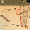 Infestations - Worm Holes