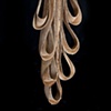 Untitled (Detail)