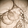 Atlas (Detail)