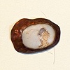 Inside Clarity (Detail)