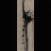Cell (V.1)