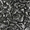 Orgy