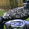 Skulldusa