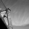 Infra Red