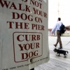 Not Walking