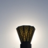 Light Pole