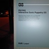 FLUX 2010