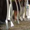 Greenbridge Groundbreaking Shovels