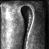 Sara's Seed