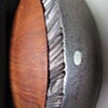 Rhino Hook
