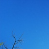 Look Up