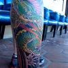 Dragon view2