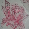 Closed peony