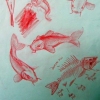 Koi study