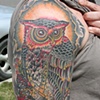 owl