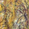 Palms