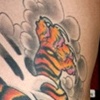 Blaze's Tiger