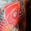 Koi