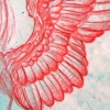 wing study