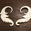 Shell Feather Earrings
