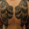 Wings