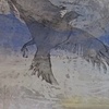 Animals & Birds