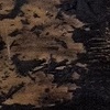 Low Tide