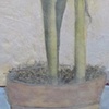 Amaryllis with Shadow